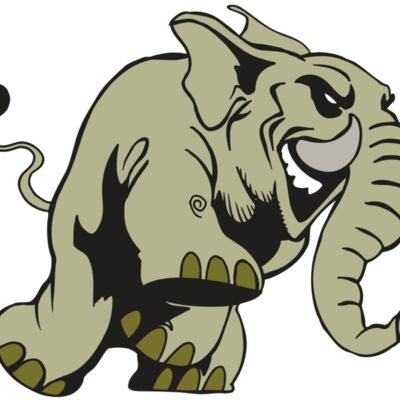 AR5 Elephant 16 RQC Thumbnail