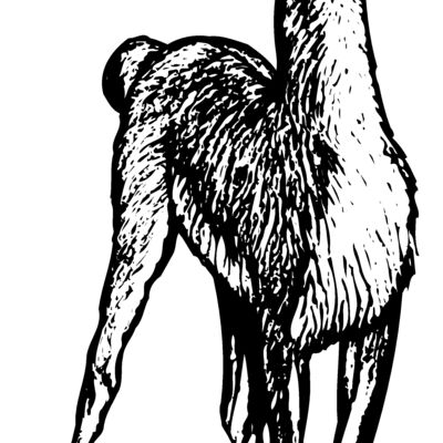 LLAMA001 Thumbnail